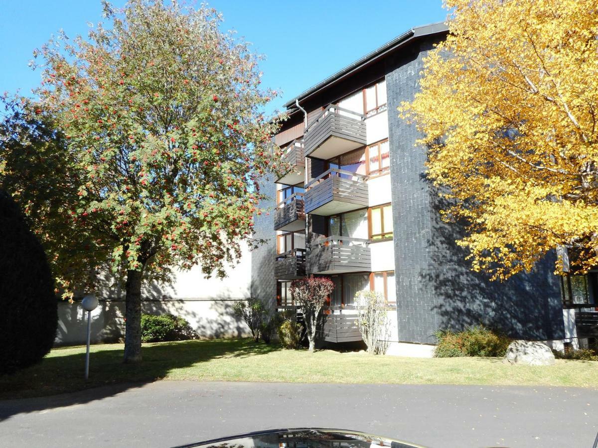 Appartement Les Domes Мон-Дор Екстер'єр фото